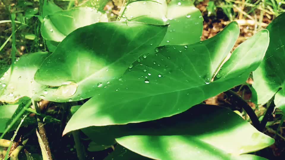 @PruthviRaj Mane