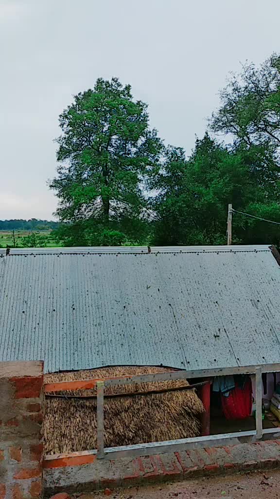 @hari sahoo🌼🌼🌼🌼🌼