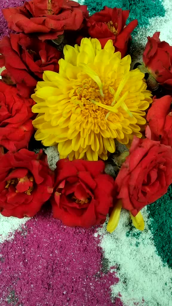 @pushpa chinnu