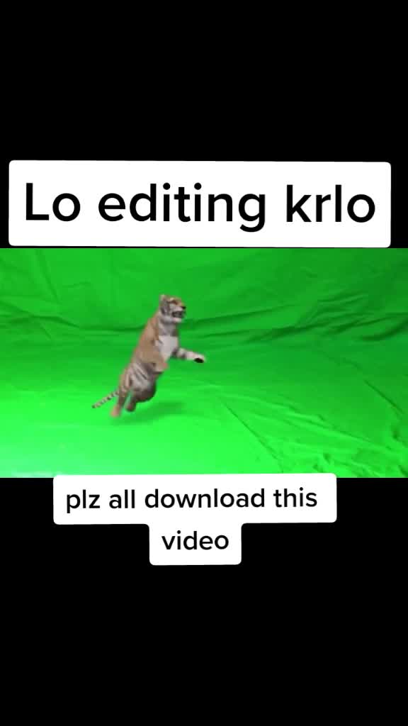 @teamRj