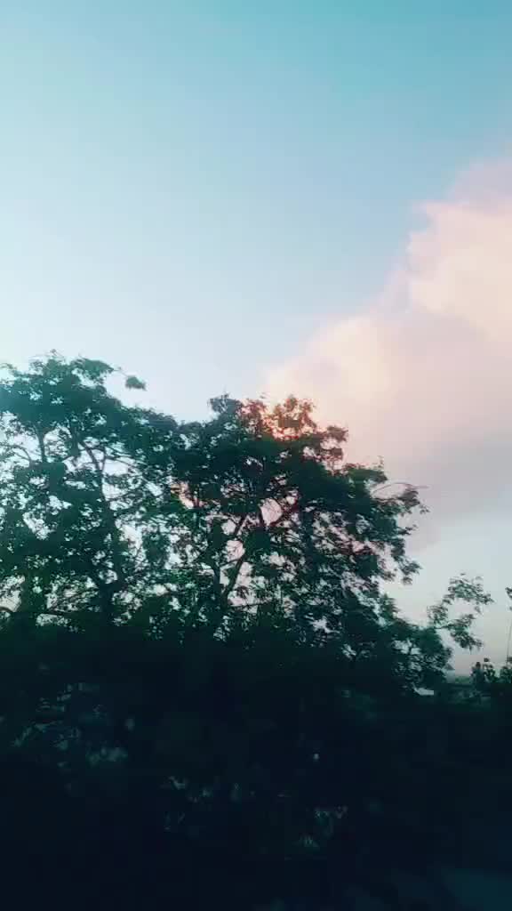 @Chirag Padsala