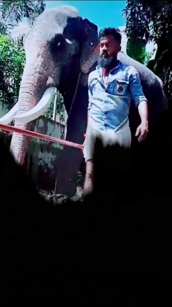 @കൊമ്പൻ