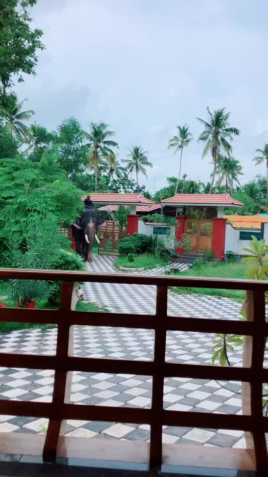 @veenapillai997