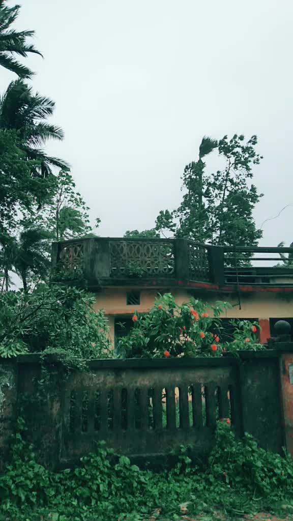 @jyotee1434