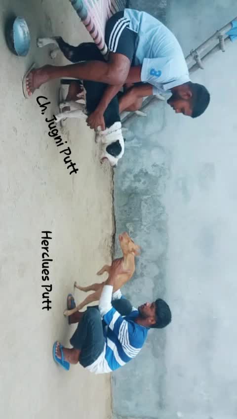 @Patras Gill