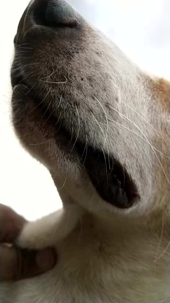 @&Ntilde;&atilde;&ntilde;dh&uuml; K&uuml;tty