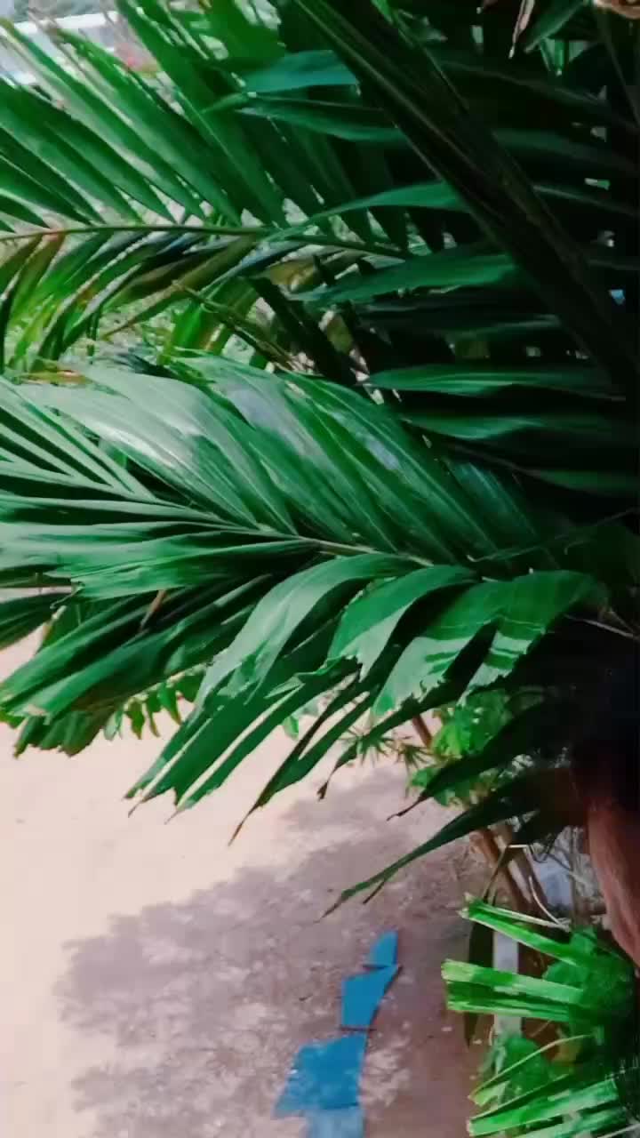 @Deviravikumar