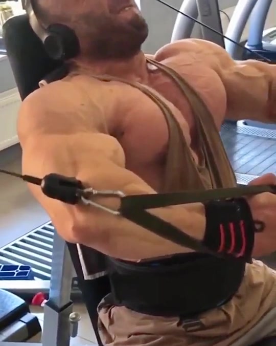 @Muscle Hardcore