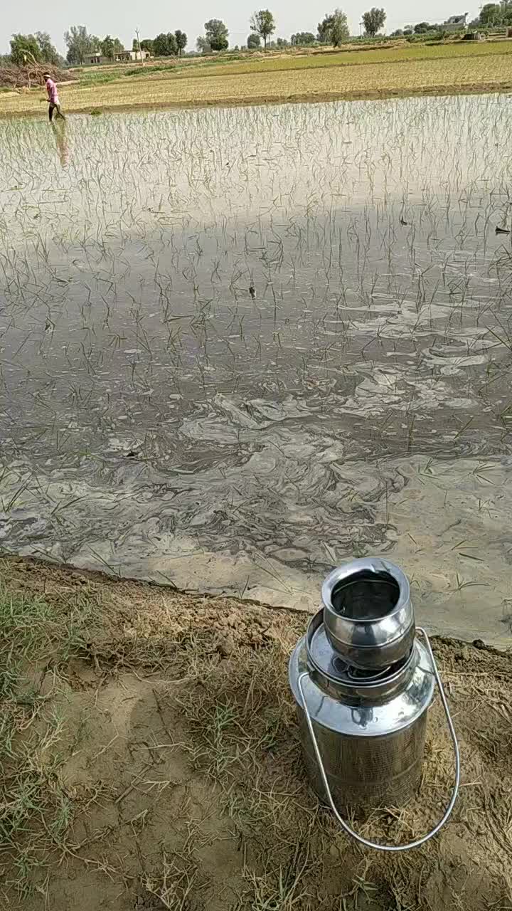 @user2550699394368