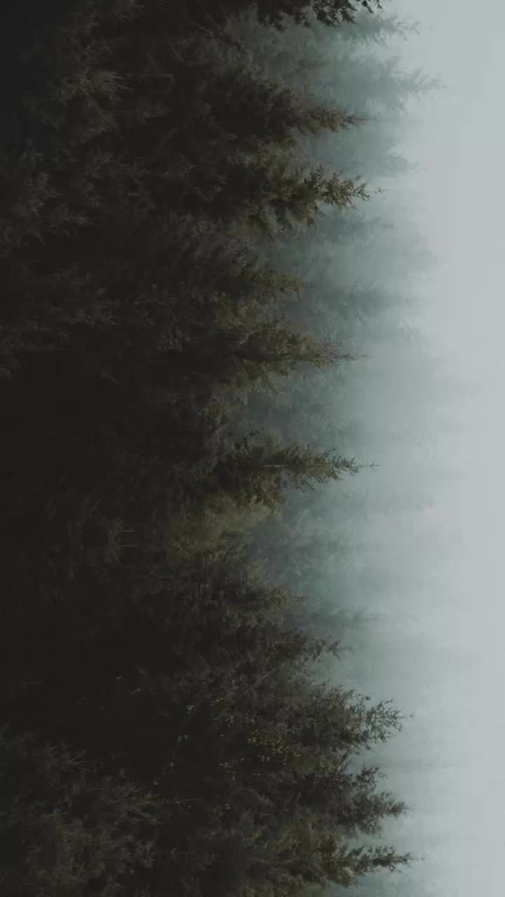 @user520212