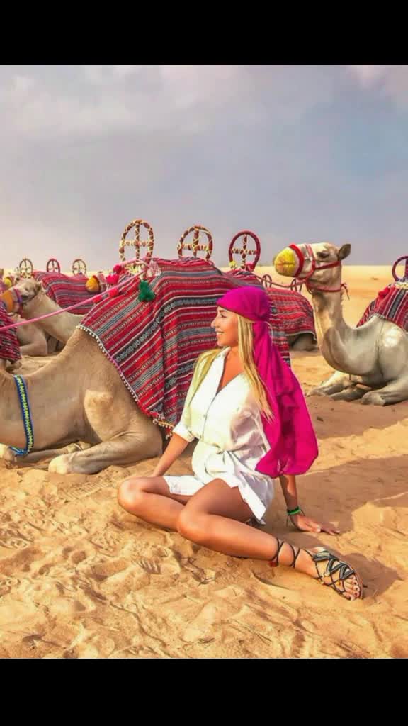 @Arabians Tour