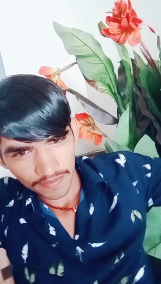 @Gopal Toyta 6