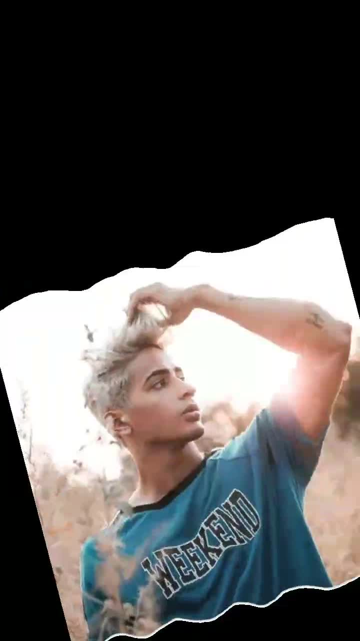 @qr Rehan model