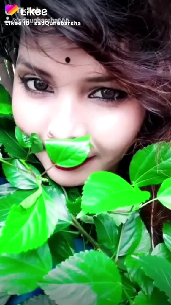 @pihu