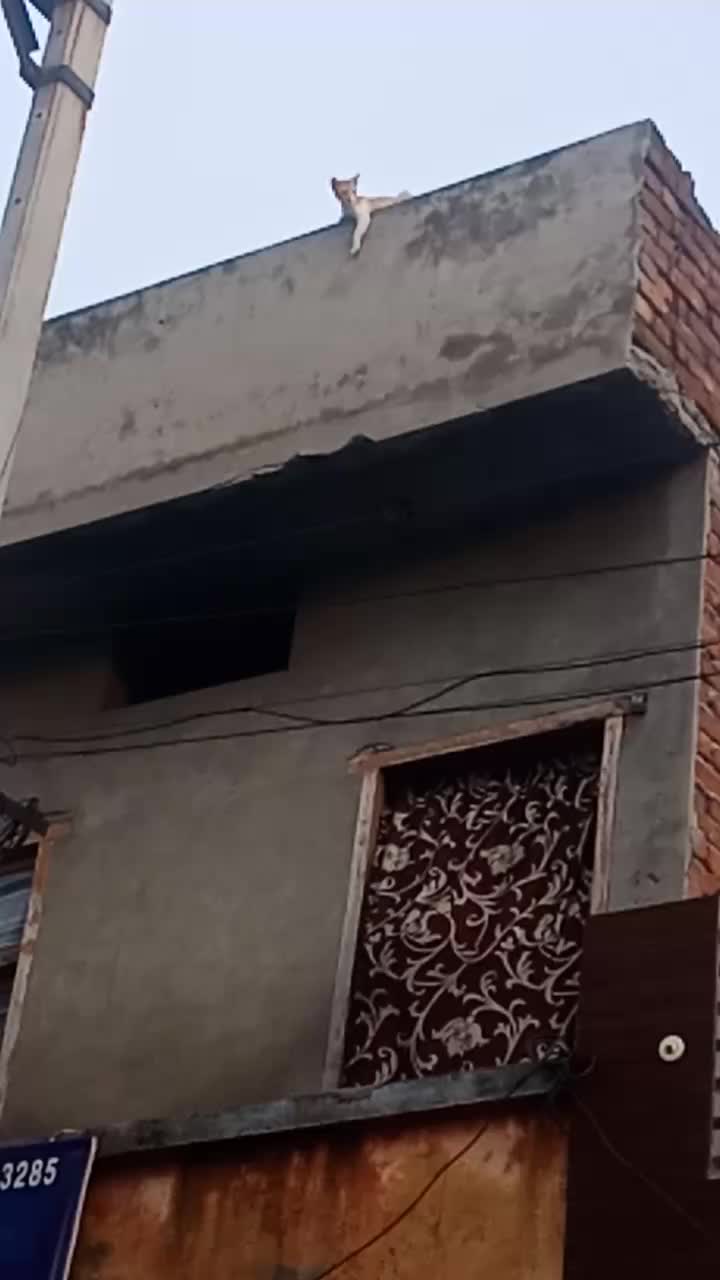 @Aman rajput ਅਮੂ 🤨