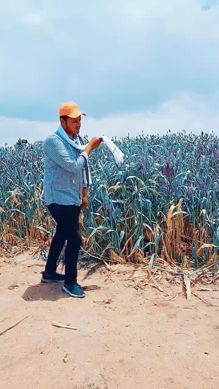 @user31202833071