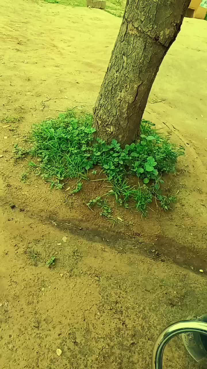 @aaru mansuri