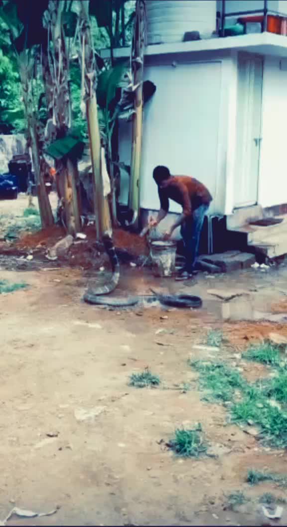 @Akilgowda