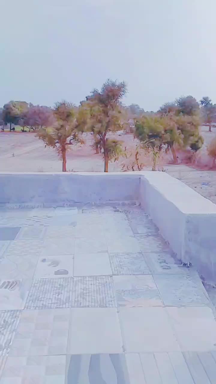 @Princeummed786