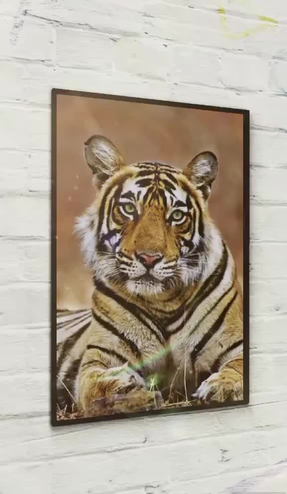 @jai Reddy,s💪🦁💪🦁