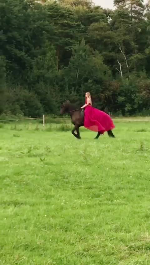 @seelenfriesen_