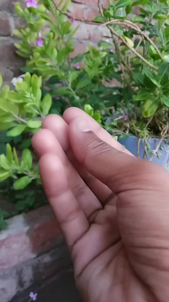 @Muzammil 👿👿👿