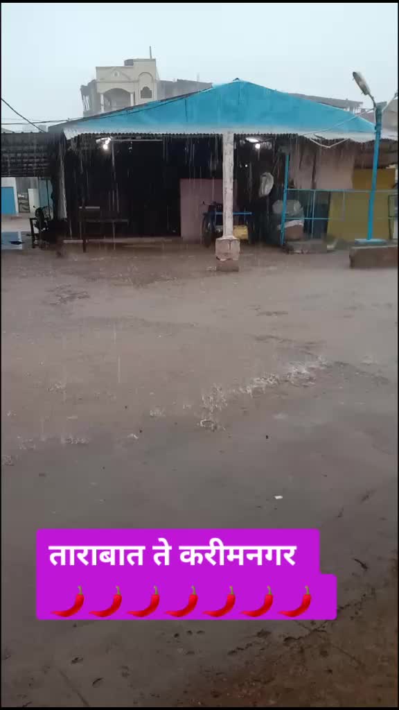 @🚩🕉 हर हर महादेव🕉
