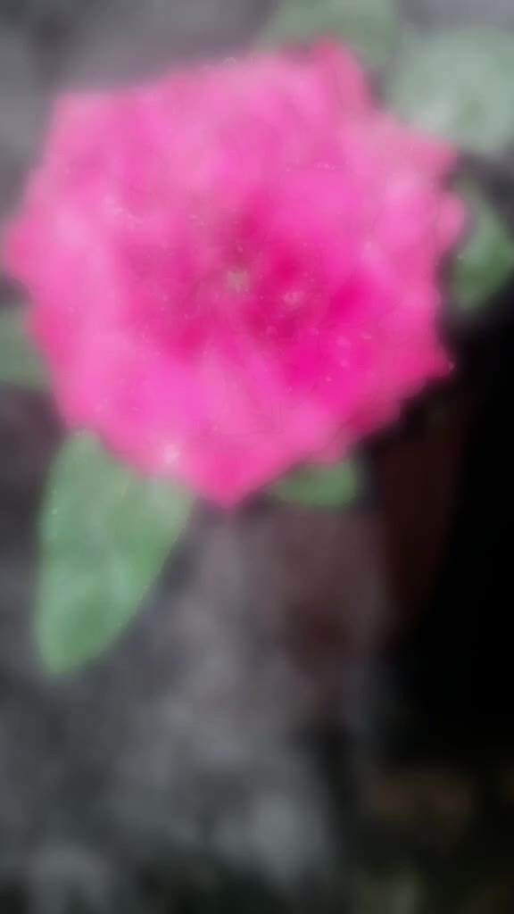 @Manju preethi