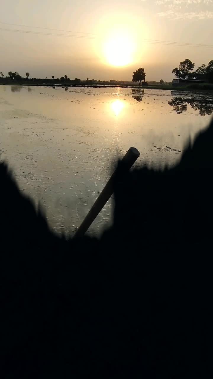 @⩔♬Ʀɨ⩎ᖱ៩Ʀ