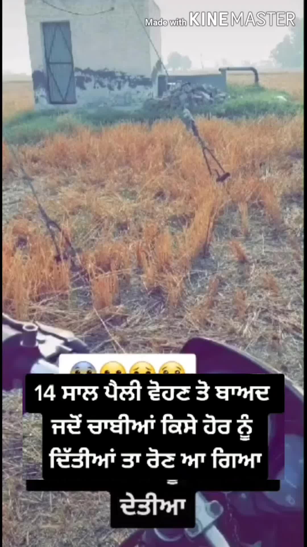 @@dalbirpunia