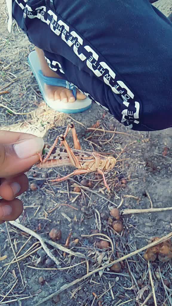@Nagendra Borana