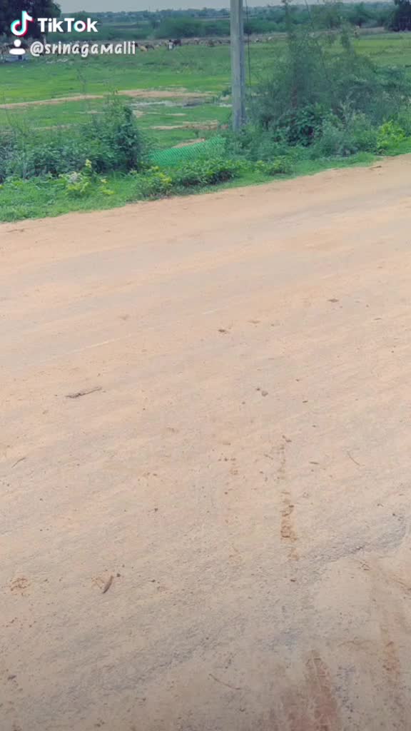 @srinagamalli