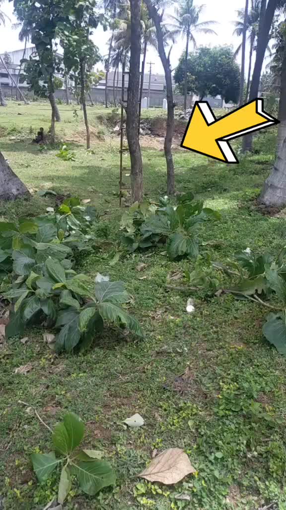 @Saravanan Keeranur