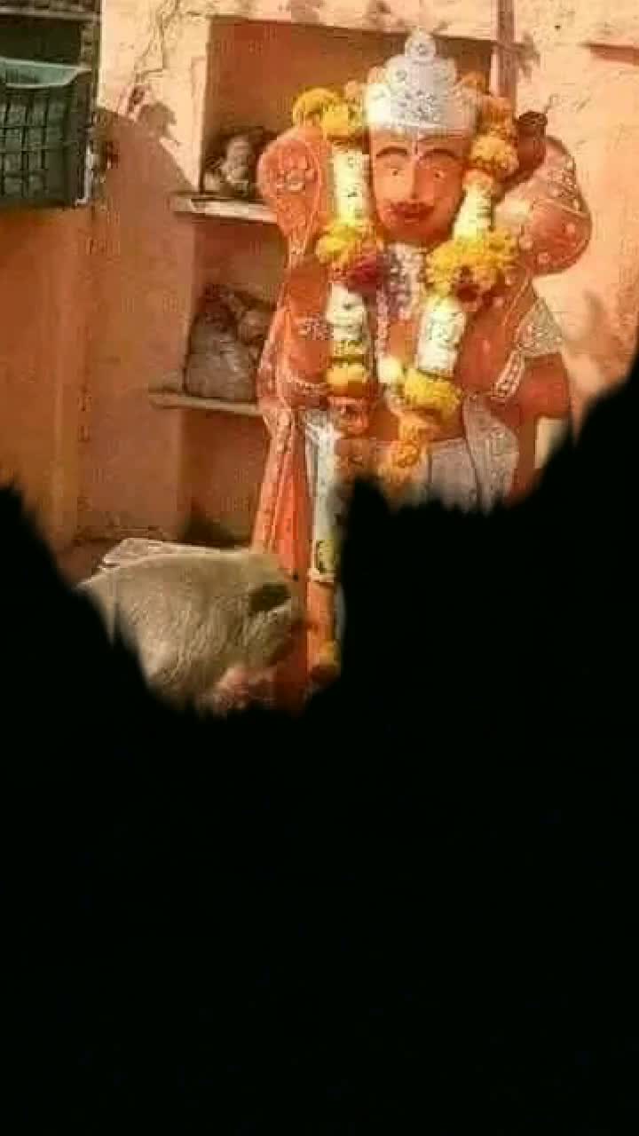 @prince jain