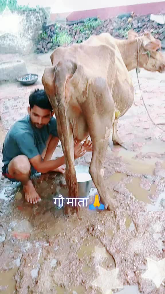 @Nivas Anand