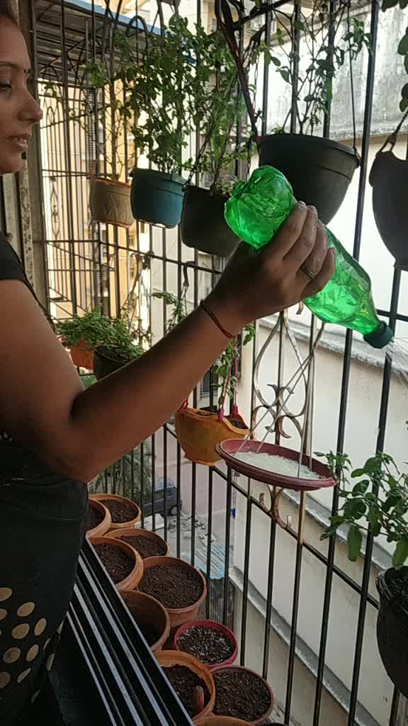 @Sapna Dubey