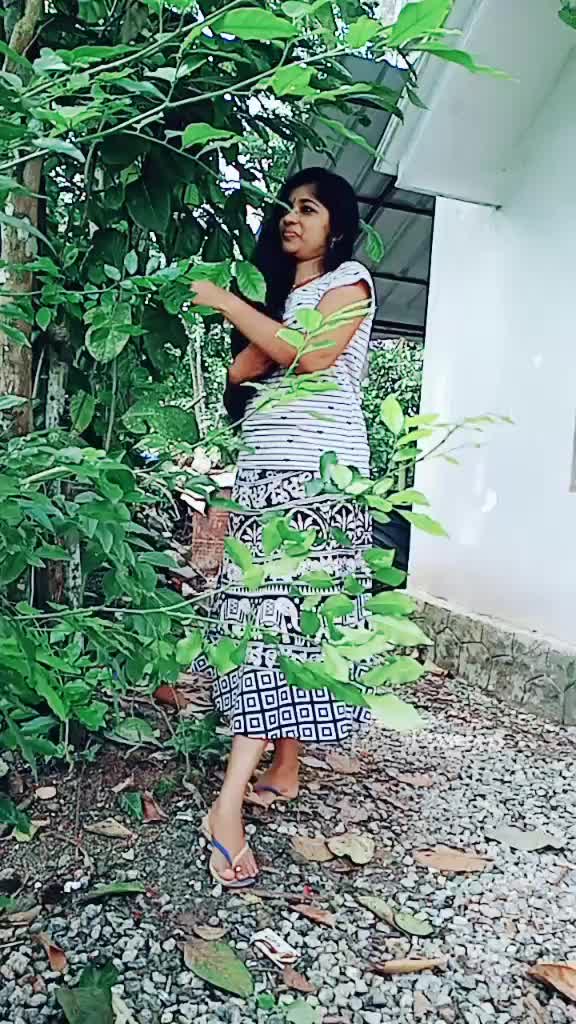 @user289244