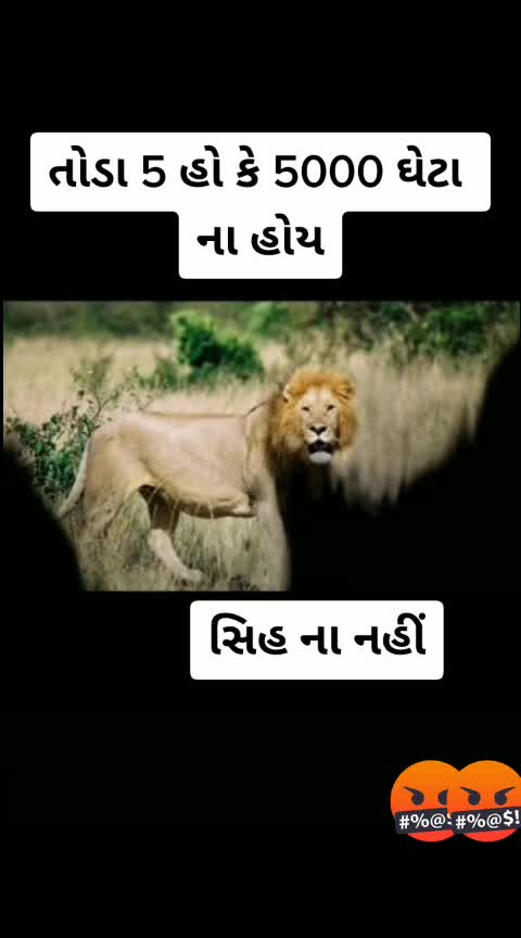 @gandi_gir_ni_sihan