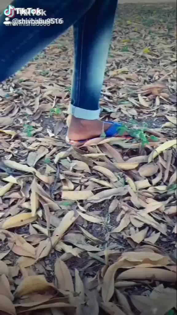@shivbabu