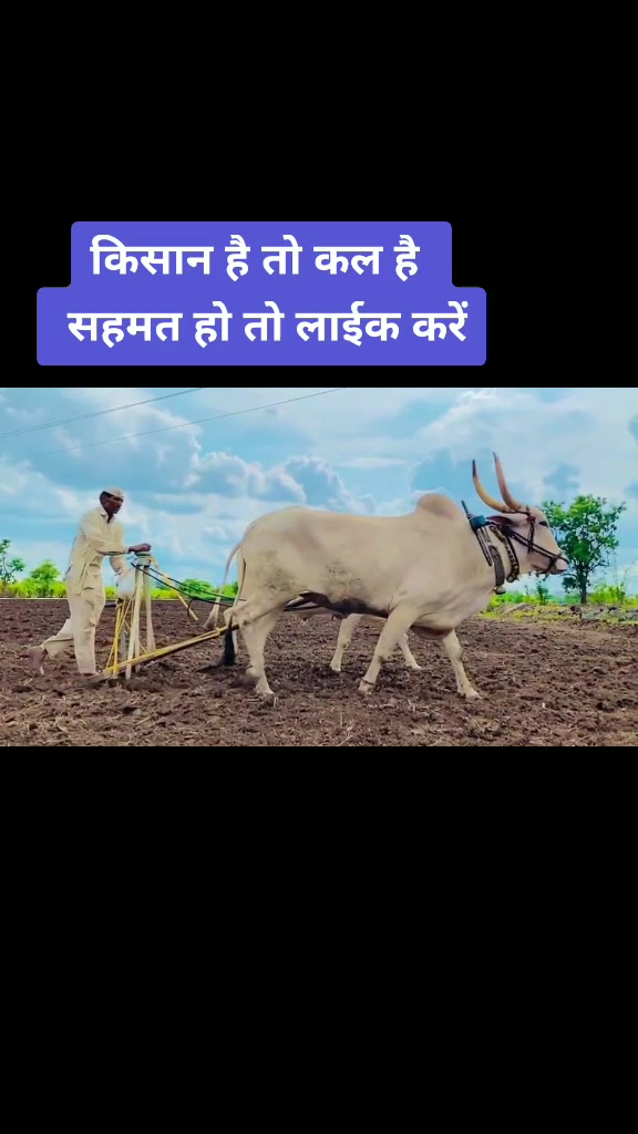 @Bhavesh