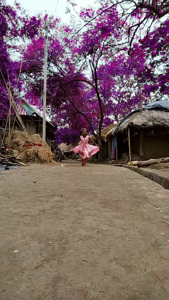 @Kanha Champia