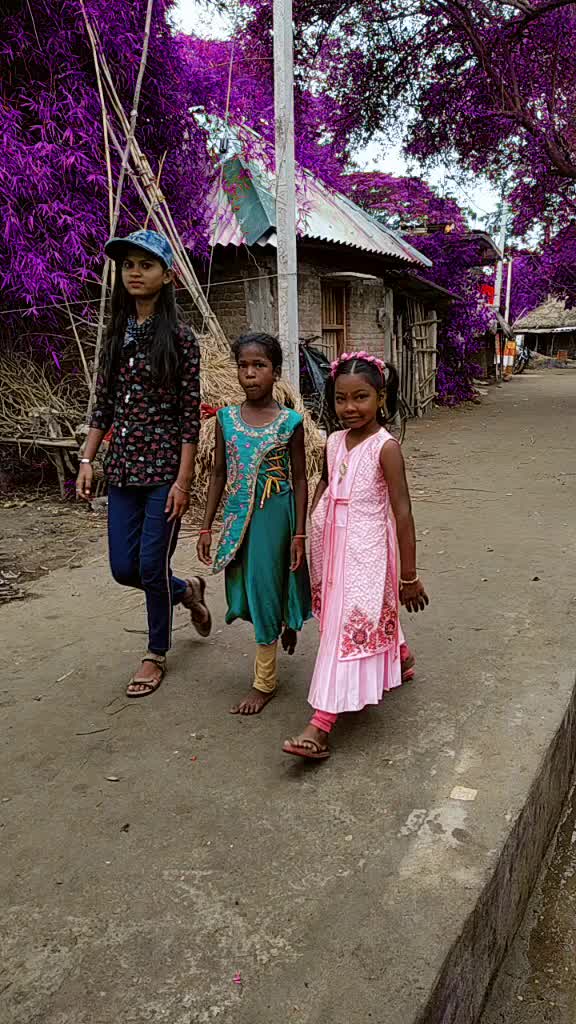 @Kanha Champia