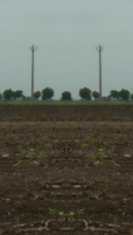 @kush patidar 15