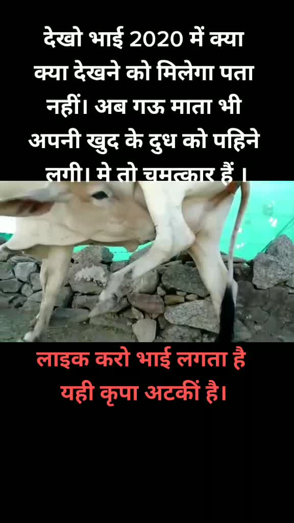 @Laxmi narayan Mishra