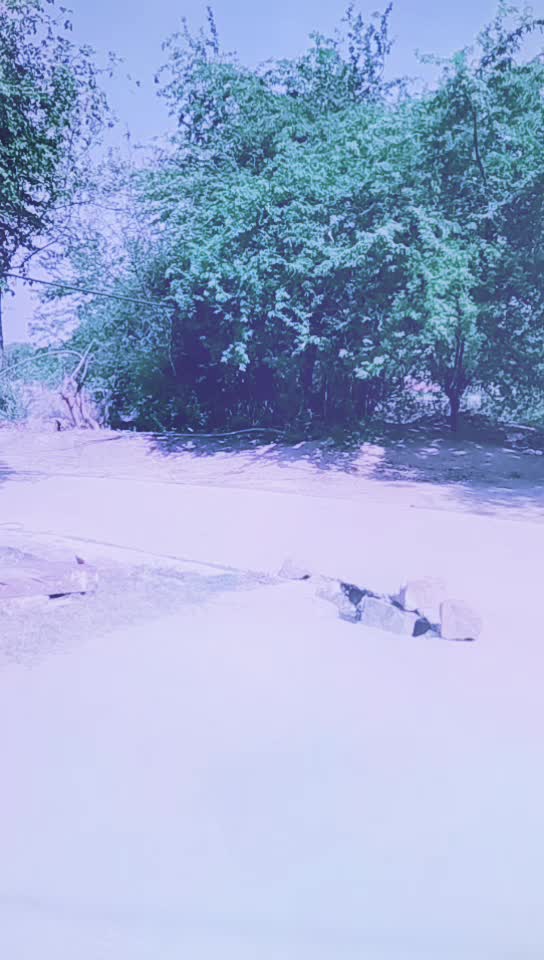 @pravendra Jaat