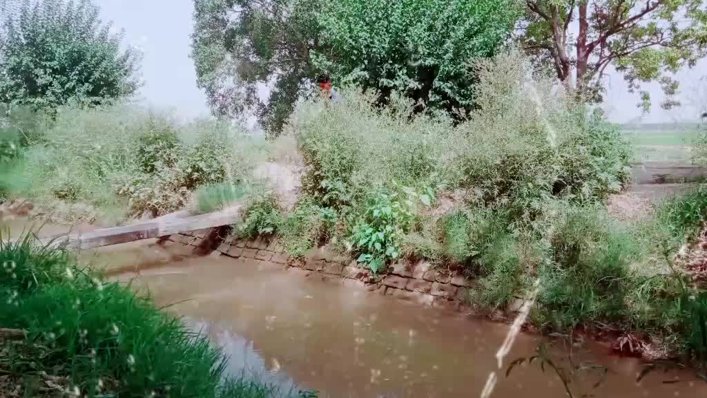 @gaggu.punjabi