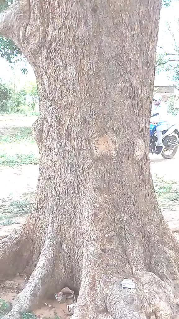 @Malaya Meher