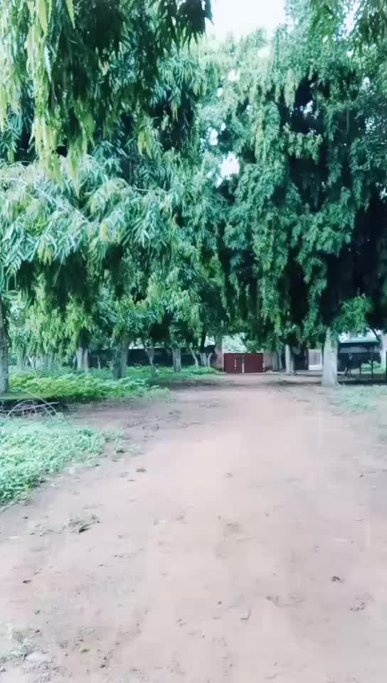 @💖#_Simplebong10💖