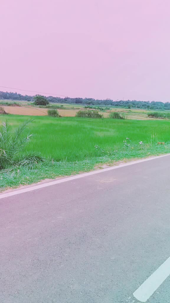 @Biswaranjan 143