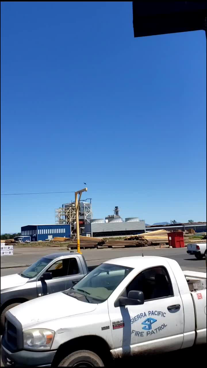 @GoofyDave
